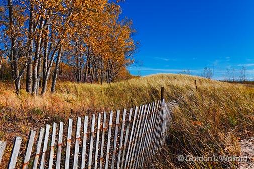 Autumn Dunes_09150.jpg - Presqu'ile Provincial Park photographed near Brighton, Ontario, Canada.